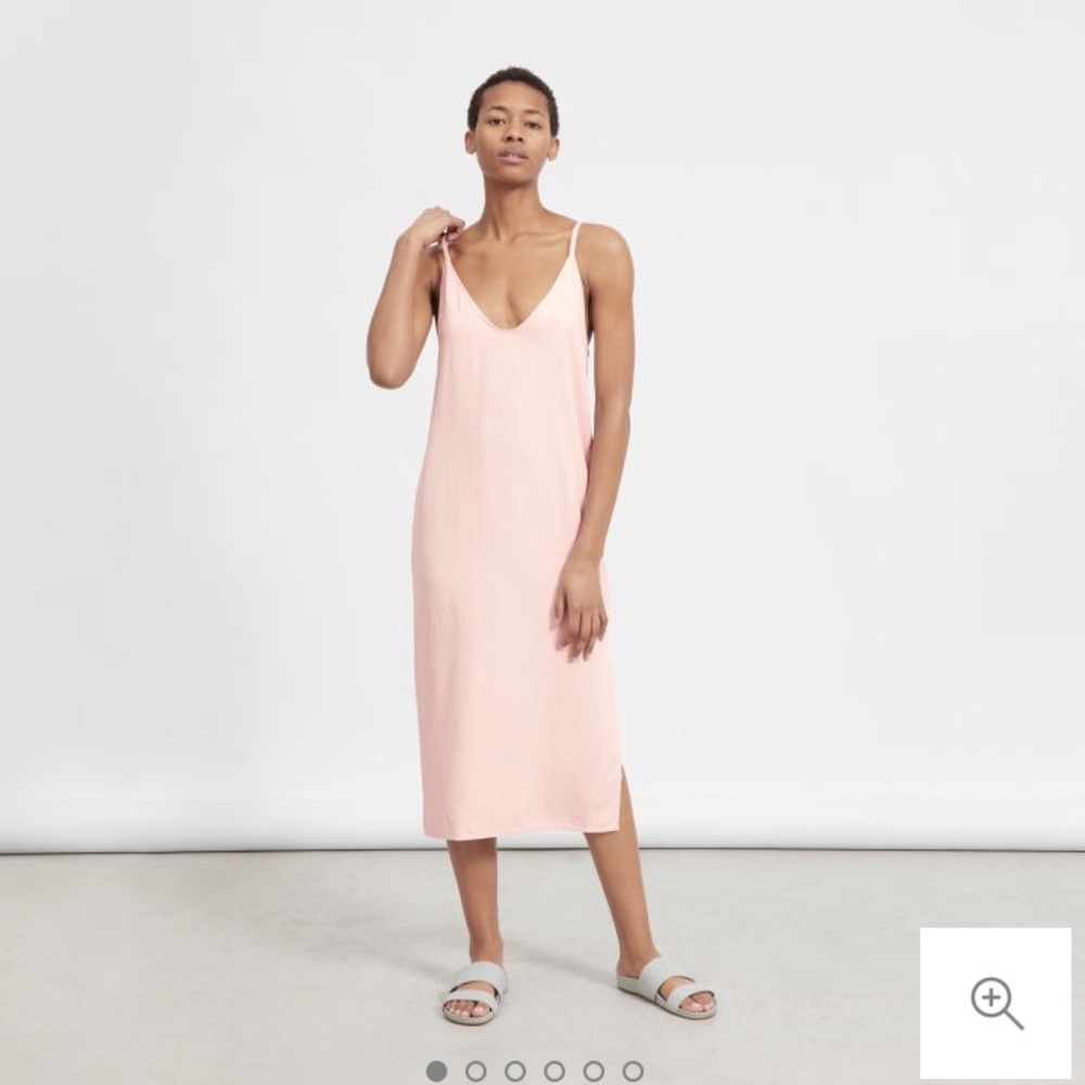 NWT EVERLANE Japanese GoWeave Long Slip Dress Rose
